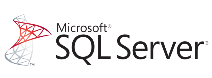 SQL-integration-with-DotActiv