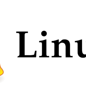 LINUX