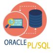 PL/SQL İLE VERİ TABANI PROGRAMLAMA WORKSHOP