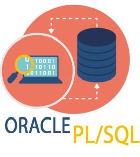 PL/SQL İLE VERİ TABANI PROGRAMLAMA WORKSHOP